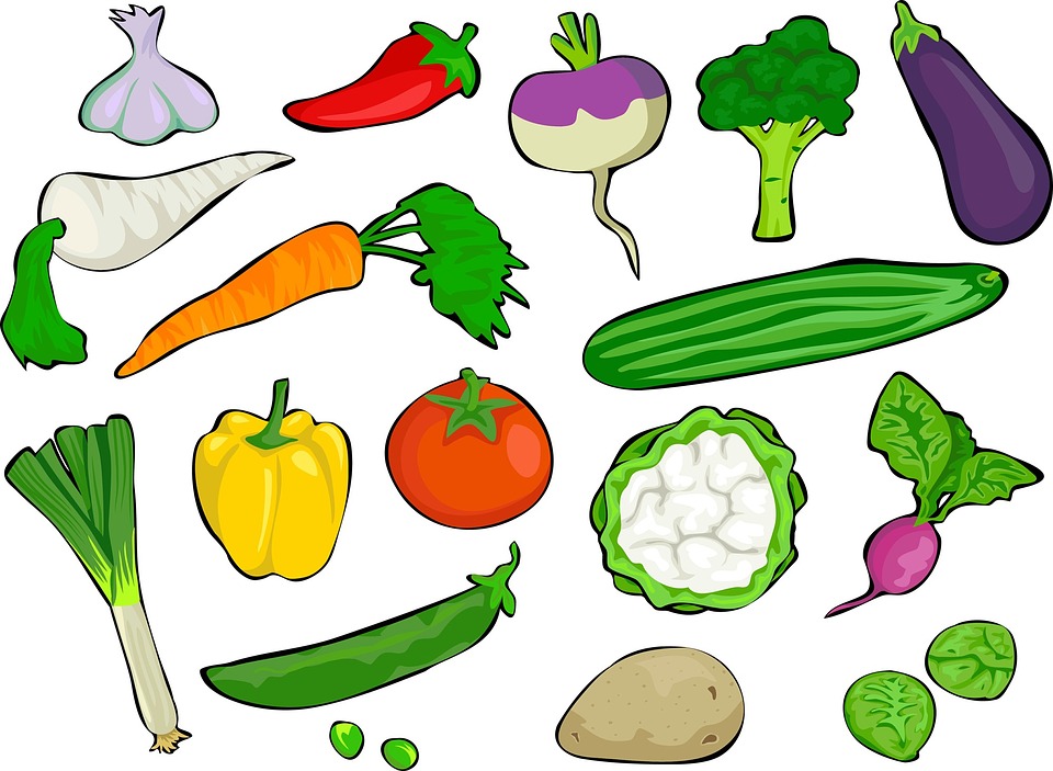 nutrientes